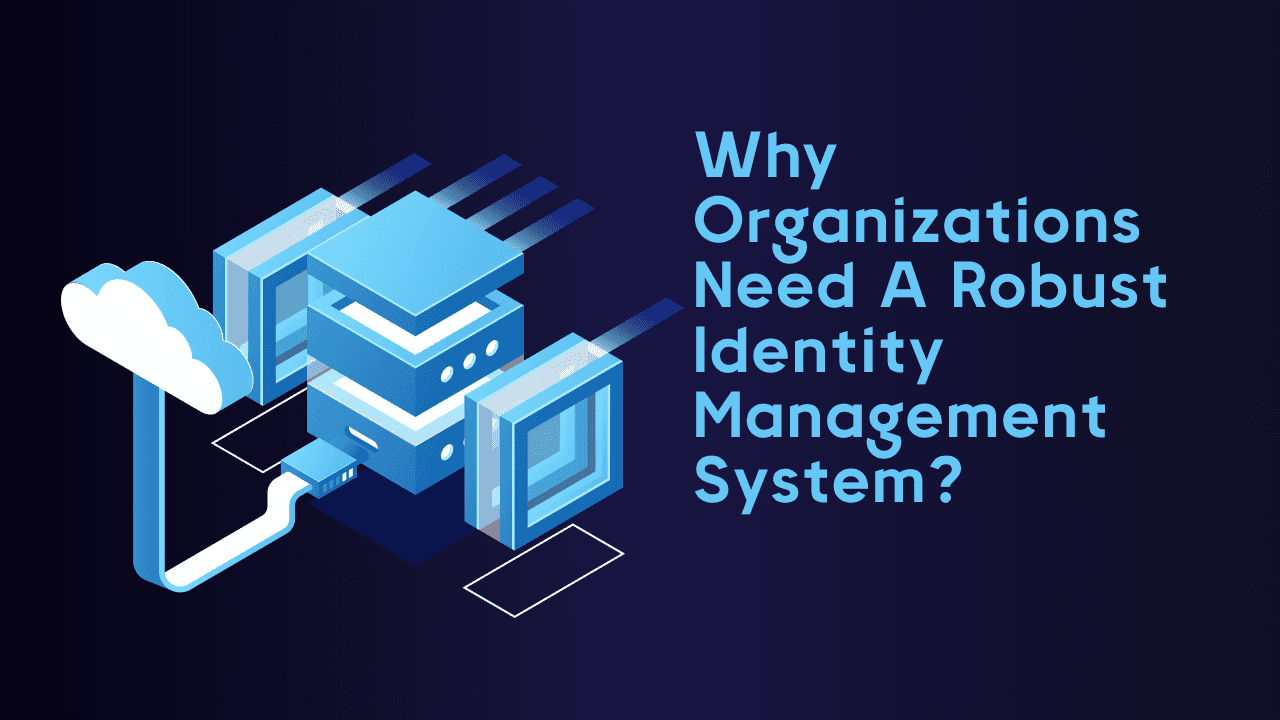 Why organizations need a robust identity management system?